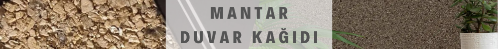 Mantar Yeni Bannerson.png (198 KB)