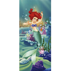 Ag Poster 90x202 Disney - ag poster disney 90x202 ftd0240