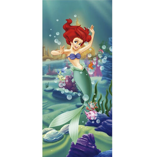 ag poster disney 90x202 ftd0240