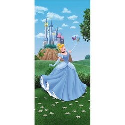 Ag Poster 90x202 Disney - ag poster disney 90x202 ftd0241