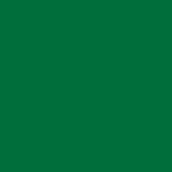 Oracal Cast 970 Glossy - Araç Kaplama Folyosu Oracal 970 Glossy (Parlak) 612 Police Green