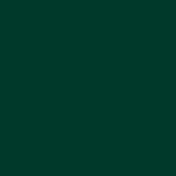 Oracal Cast 970 Glossy - Araç Kaplama Folyosu Oracal 970 Glossy (Parlak) 622 Fir Tree Green