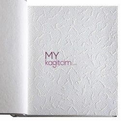 Boyanabilir Duvar Kağıdı 2513-01 - 2