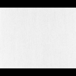 As Creation GO Pro 26,50 m² - Boyanabilir Duvar Kağıdı Go Pro 2448-19