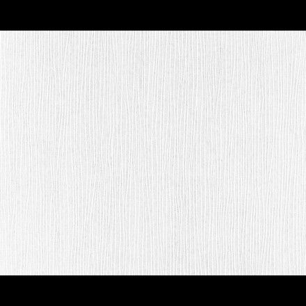 Boyanabilir Duvar Kağıdı Go Pro 2448-19