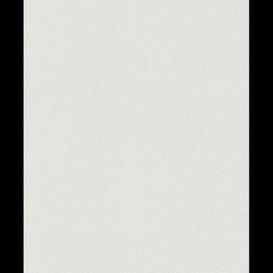 Rasch Walton 25 m² - Boyanabilir Duvar Kağıdı Walton 144017 (144000)