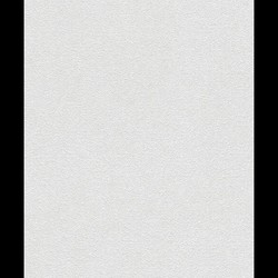 Rasch Walton 25 m² - Boyanabilir Duvar Kağıdı Walton 173109 (173116)