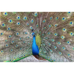 duvar posteri 3d tasarim G-5750 - 3D Tasarım