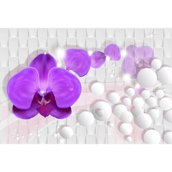 duvar posteri 3d tasarim G-6417 - 3D Tasarım