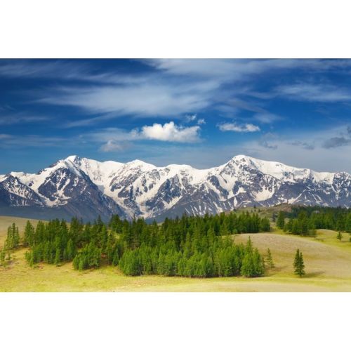 duvar posteri doğa n489