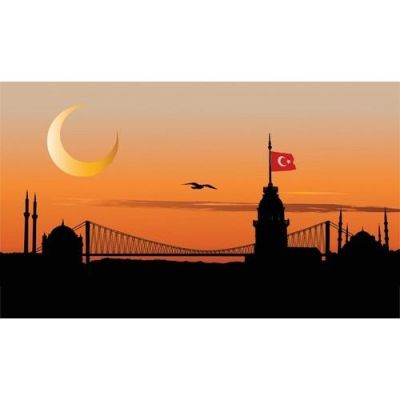 duvar posteri istanbul 71444779