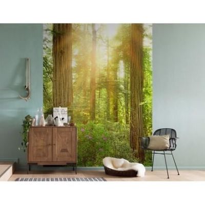 duvar posteri komar viles illusions 2 xxl2-044