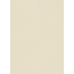 İthal Duvar Kağıdı İnstawalls 12000-02 - Erismann İnstawalls 5 m²