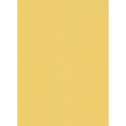 İthal Duvar Kağıdı İnstawalls 12000-03 - Erismann İnstawalls 5 m²