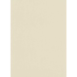 İthal Duvar Kağıdı İnstawalls 6342-02 - Erismann İnstawalls 5 m²