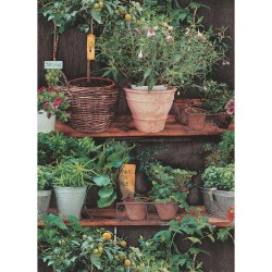 İthal Duvar Kağıdı İnstawalls 6386-07 - Erismann İnstawalls 5 m²