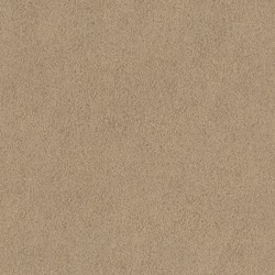 Rasch African Queen 5 m² - İthal Duvar Kağıdı African Queen II 422696