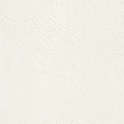 Rasch African Queen 5 m² - İthal Duvar Kağıdı African Queen II 423655