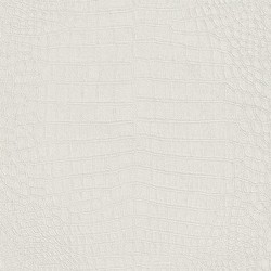 Rasch African Queen 5 m² - İthal Duvar Kağıdı African Queen II 474169