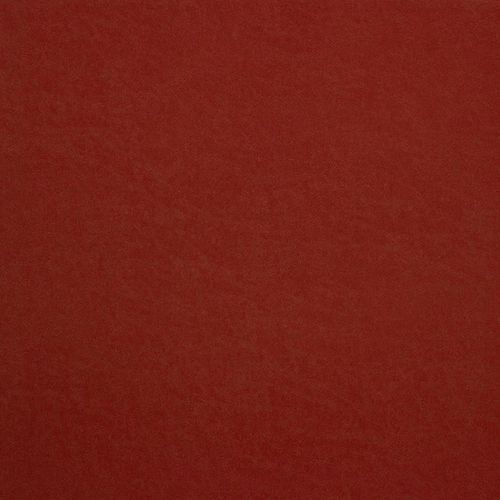 İthal Duvar Kağıdı African Queen II 474213