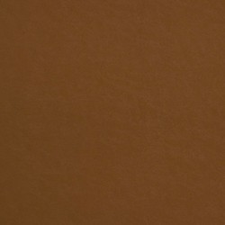 Rasch African Queen 5 m² - İthal Duvar Kağıdı African Queen II 474220