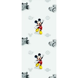 AG Disney 5 m² - İthal Duvar Kağıdı AG Disney wpd-9772