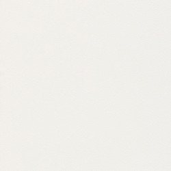 .Rasch 5 m² - Rasch Duvar Kağıdı Blue Velvet 610048