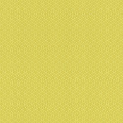 .Rasch Cato 5 m² - İthal Duvar Kağıdı Cato 800920
