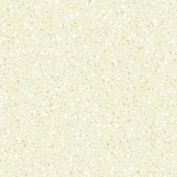 Did Color Premium 2017 10 m2 - İthal Duvar Kağıdı Color Premium UH8803-1