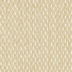 Did Color Premium 2017 10 m2 - İthal Duvar Kağıdı Color Premium UH8806-2