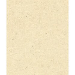 İthal Duvar Kağıdı Concrete 520842 - Rasch Concrete 5 m²
