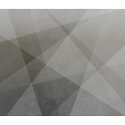 İthal Duvar Kağıdı Concrete 521955-Poster - Rasch Concrete 5 m²