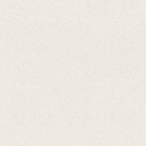 Rasch Duvar Kağıdı Crispy Paper 527001