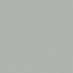 .Rasch 5 m² - Rasch Duvar Kağıdı Crispy Paper 527032