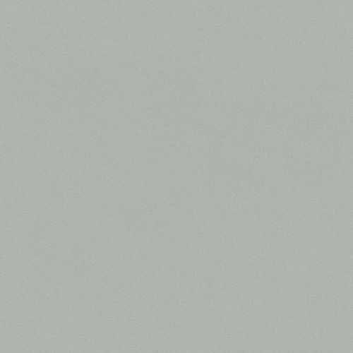 Rasch Duvar Kağıdı Crispy Paper 527032