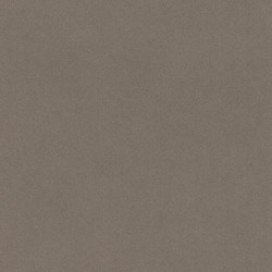 .Rasch Crispy Paper 5 m² - İthal Duvar Kağıdı Crispy Paper 527049