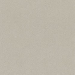 .Rasch Crispy Paper 5 m² - İthal Duvar Kağıdı Crispy Paper 527056