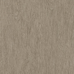 .Rasch Freundin 5 m² - İthal Duvar Kağıdı Freundin 438536