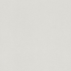 .Rasch-II 5 m² - İthal Duvar Kağıdı Home Passion 2018 479324