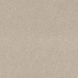 .Rasch 5 m² - İthal Duvar Kağıdı Home Passion 6 860108