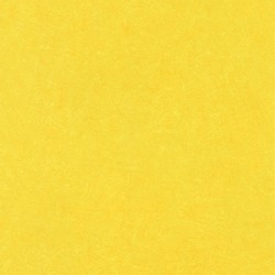 .Rasch Barbara Becker VI 5 m² - İthal Duvar Kağıdı Home Passion 6 860177