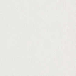 .Rasch Modern Surfaces 5 m² - İthal Duvar Kağıdı Home Style Modern Surfaces 489804