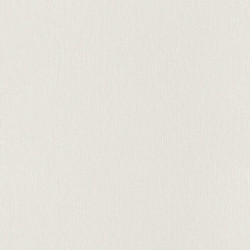 .Rasch Modern Surfaces 5 m² - İthal Duvar Kağıdı Home Style Modern Surfaces 573336