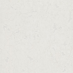 .Rasch 5 m² - Rasch Duvar Kağıdı Home Style Modern Surfaces 860009