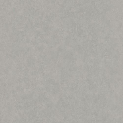 İthal Duvar Kağıdı Home Style Modern Surfaces II 512601