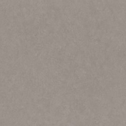 .Rasch 5 m² - Rasch Duvar Kağıdı Home Style Modern Surfaces II 512618