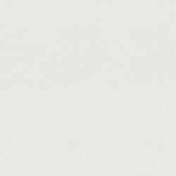 .Rasch Modern Surfaces II 5 m² - İthal Duvar Kağıdı Home Style Modern Surfaces II 604016