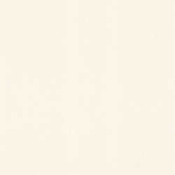 .Rasch 5 m² - Rasch Duvar Kağıdı Home Style Modern Surfaces II 607727 beyaz