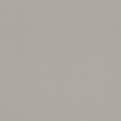 .Rasch 5 m² - Rasch Duvar Kağıdı Home Style Modern Surfaces II 607734