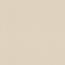 .Rasch 5 m² - Rasch Duvar Kağıdı Home Style Modern Surfaces II 607772